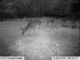 Deer Hunting Preserve