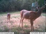 Deer Hunting Preserve