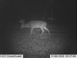 Deer Hunting in Mississippi
