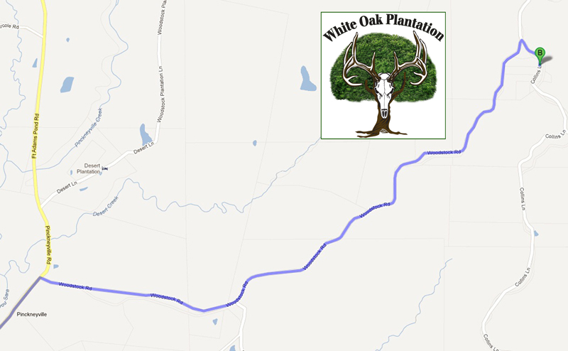 White Oak Plantation Location